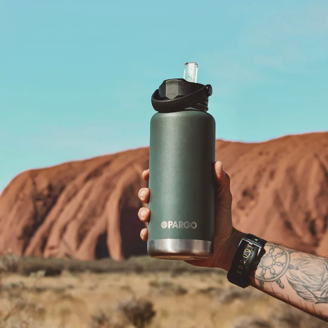 950mL Insulated Bottle w/ Straw Lid