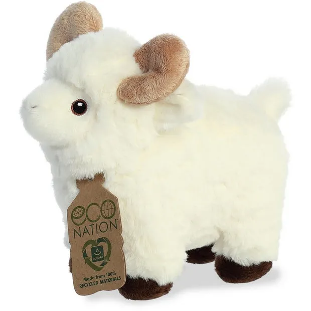 AURORA ECO NATION RAM