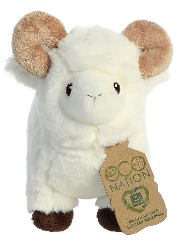 AURORA ECO NATION RAM