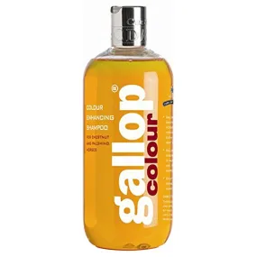 Carr & Day & Martin Enhancing Shampoo Chestnut 500ml