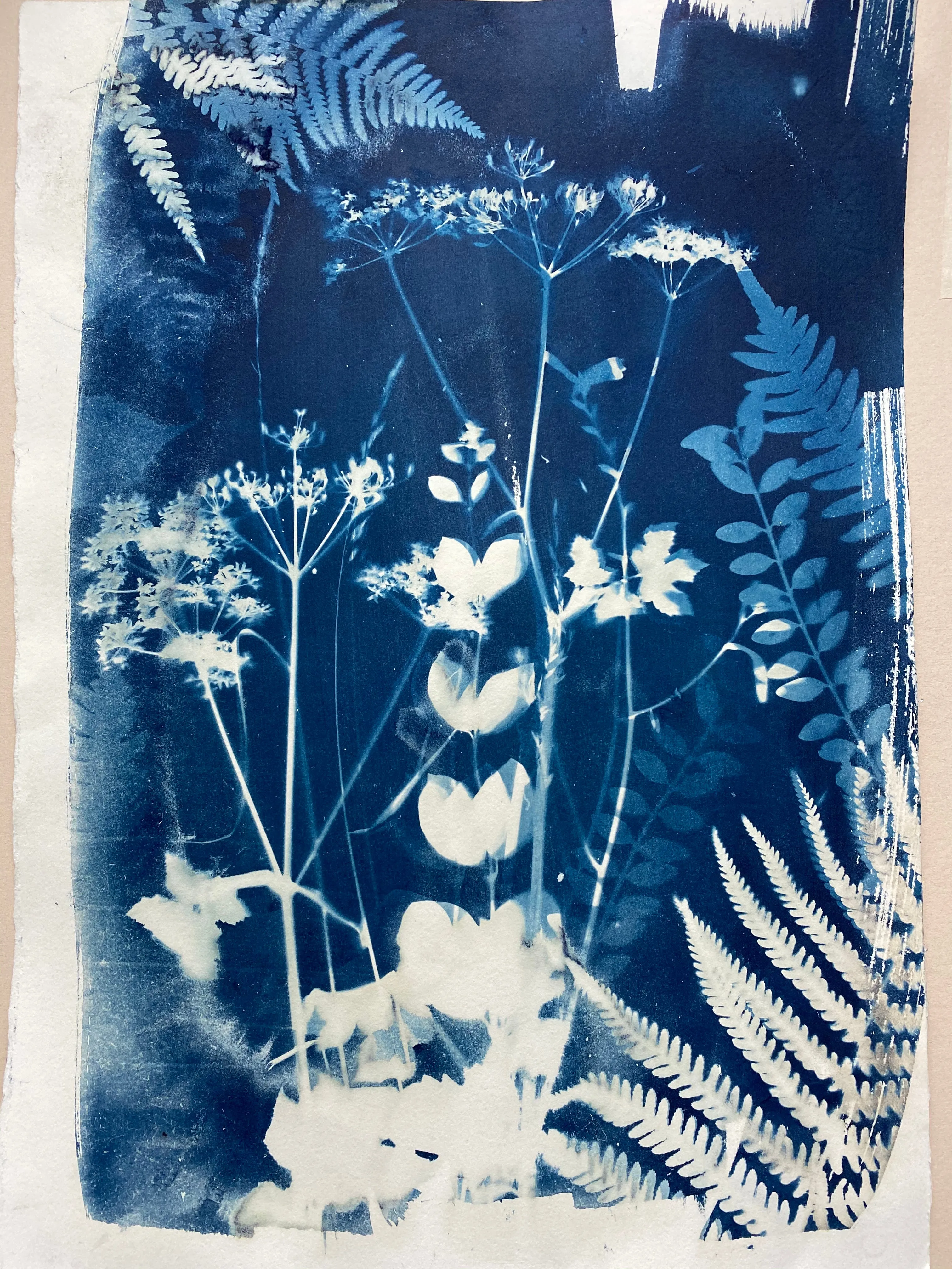 Cyanotype Luxury Set