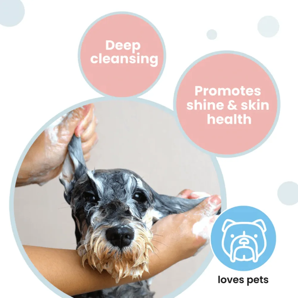 Koparo Honey and Vanilla Fragrance Shampoo for Dogs (Pet Safe)