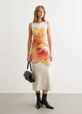 Lily Printed Dress