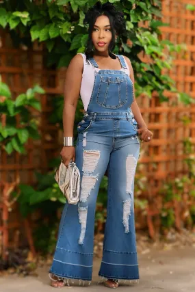 Lucille Overall Denim Jumper