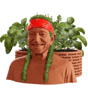 WILLIE NELSON CHIA PET HERB PLANTER