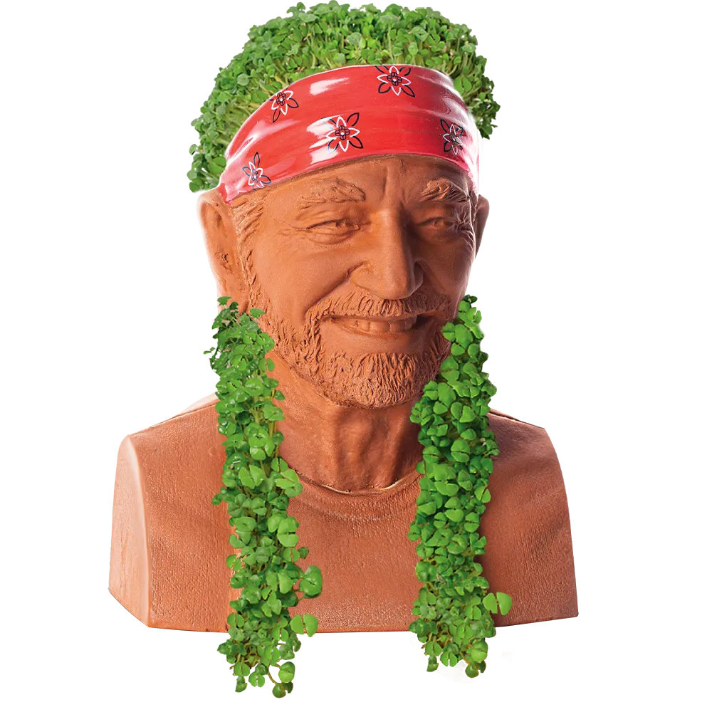 WILLIE NELSON CHIA PET